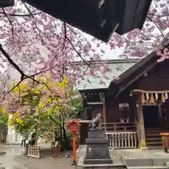 蔵前神社(東京都)