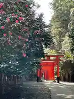 美濃國一宮 南宮大社の鳥居