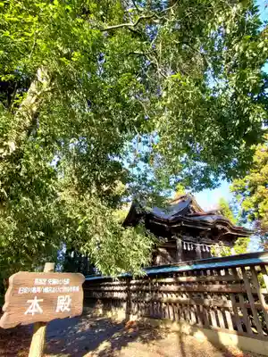 梁川八幡神社(福島県)