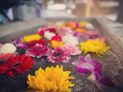 札幌諏訪神社の手水舎
