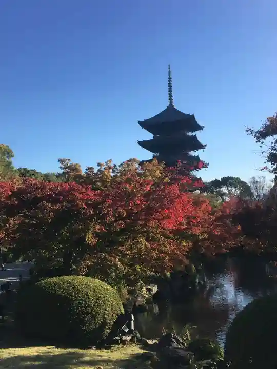 東寺(教王護国寺)の庭園