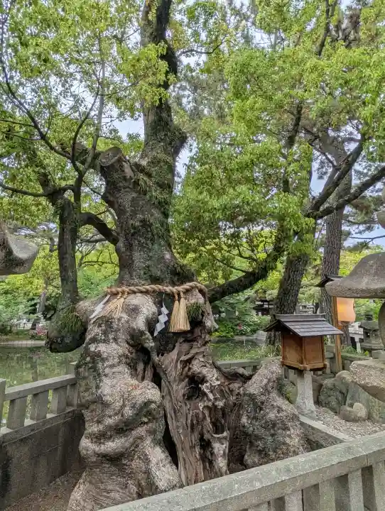 住吉大社の{uncategorized: "未分類", other: "その他", undefined: "問題あり", building: "その他建物", grave: "お墓", sacred_gate: "鳥居", guardian: "狛犬", statue: "像", buddha: "仏像", history: "歴史", nature: "自然", garden: "庭園", animal: "動物", pagoda: "塔", temizu: "手水舎", mountain_gate: "山門・神門", sanctuary: "本殿・本堂", subordinate: "末社・摂社", art: "芸術", scenery: "景色", jizo: "地蔵", ema: "絵馬", goshuin: "御朱印", omikuji: "おみくじ", items: "授与品その他", amulet: "お守り", goshuincho: "御朱印帳", eats: "食事", festival: "お祭り", votive_dance: "神楽", shichigosan: "七五三参", wedding: "結婚式", experience: "体験その他", initially: "初詣", around: "周辺", anti_infection: "感染症対策"}