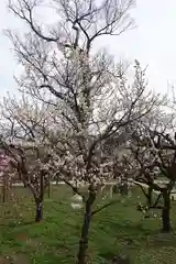 北野天満宮の庭園