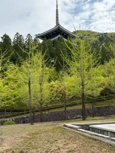 清大寺(越前大仏)の{uncategorized: "未分類", other: "その他", undefined: "問題あり", building: "その他建物", grave: "お墓", sacred_gate: "鳥居", guardian: "狛犬", statue: "像", buddha: "仏像", history: "歴史", nature: "自然", garden: "庭園", animal: "動物", pagoda: "塔", temizu: "手水舎", mountain_gate: "山門・神門", sanctuary: "本殿・本堂", subordinate: "末社・摂社", art: "芸術", scenery: "景色", jizo: "地蔵", ema: "絵馬", goshuin: "御朱印", omikuji: "おみくじ", items: "授与品その他", amulet: "お守り", goshuincho: "御朱印帳", eats: "食事", festival: "お祭り", votive_dance: "神楽", shichigosan: "七五三参", wedding: "結婚式", experience: "体験その他", initially: "初詣", around: "周辺", anti_infection: "感染症対策"}
