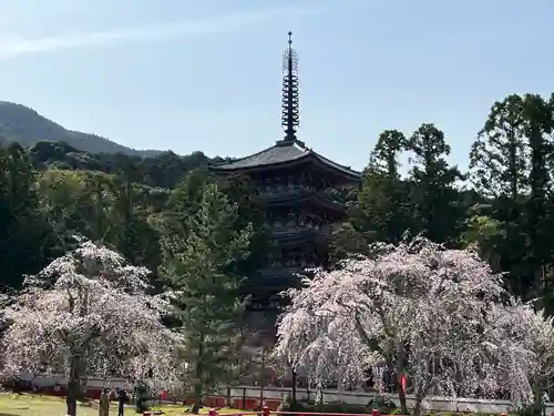 醍醐寺(京都府)
