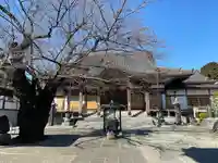 大林寺の本殿・本堂