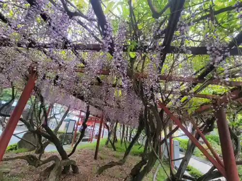 伊豫稲荷神社(愛媛県)