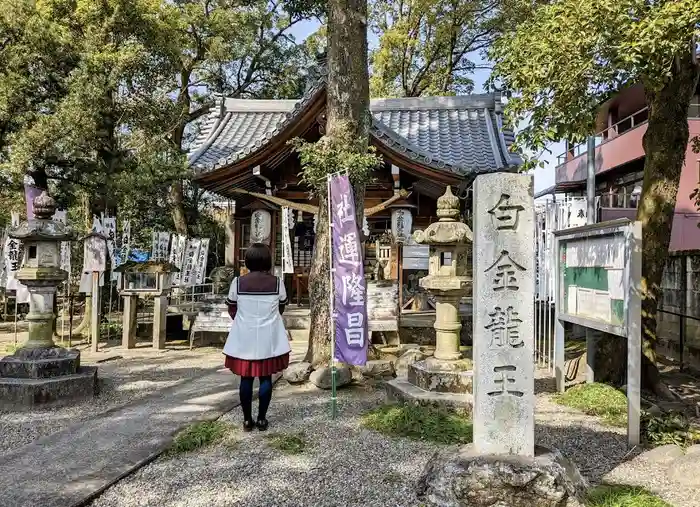 白金龍王社の本殿