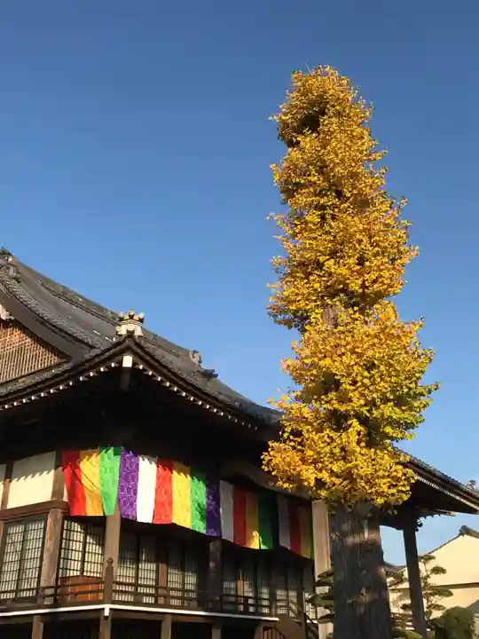 明願寺の本殿・本堂