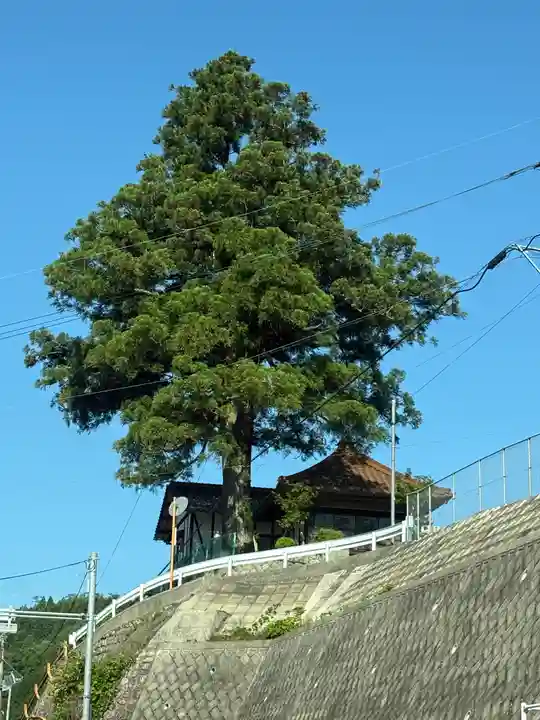 覗堂の本殿・本堂