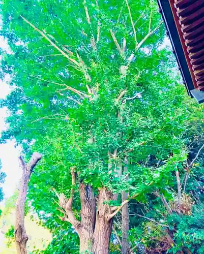 小湊神社(千葉県)