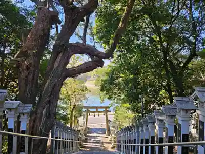 斑鳩神社(奈良県)