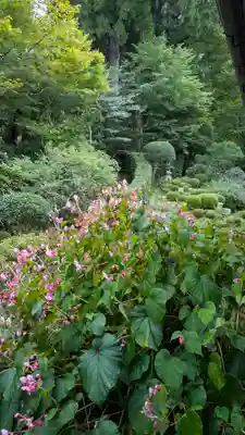 三千院門跡(京都府)