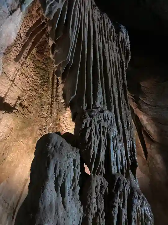 龍王神社の自然