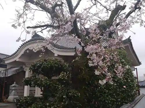 常泉寺(静岡県)
