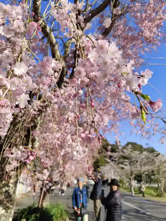 大崎寺(滋賀県)