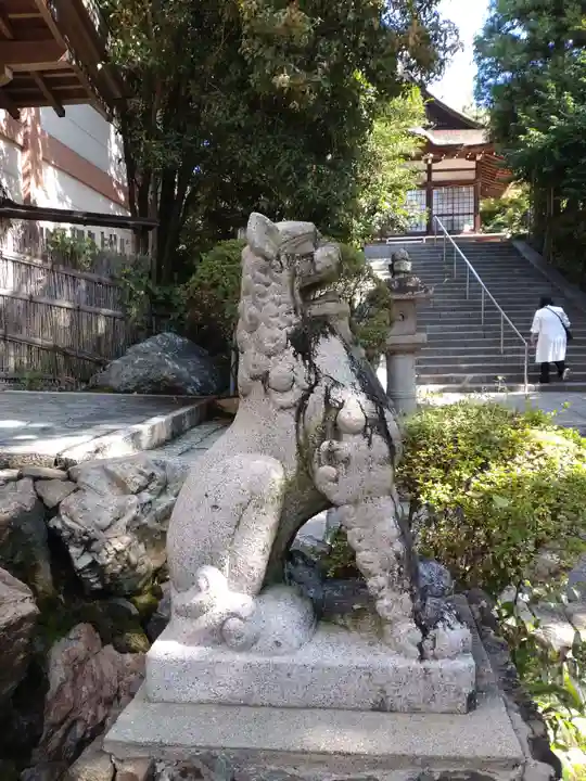 宇治神社の狛犬