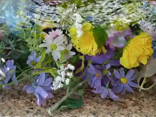 古宮神社(大阪府)