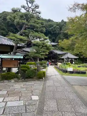 三室戸寺(京都府)