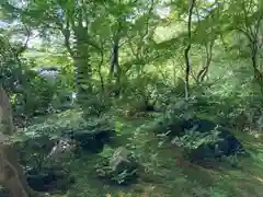 光明寺瑠璃光院(京都府)