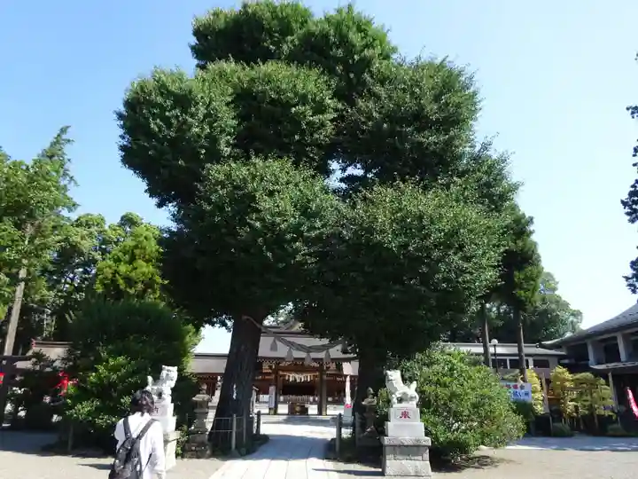 亀ケ池八幡宮の自然