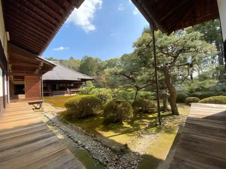 隨心院(随心院)の庭園