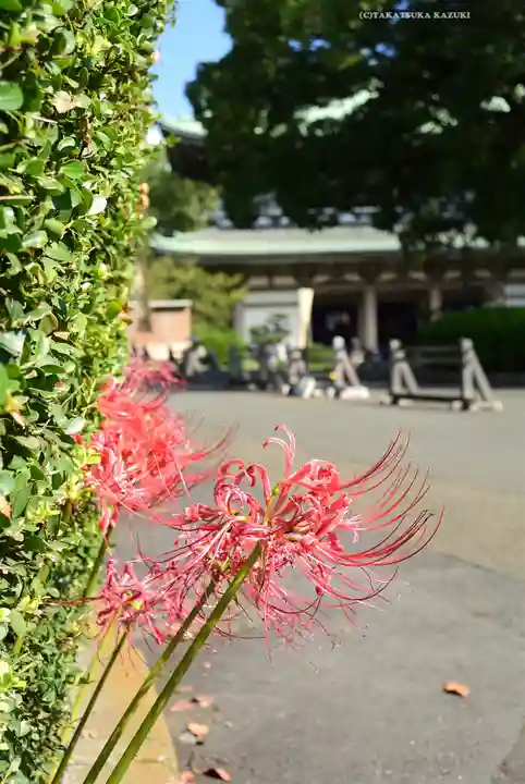 総持寺(神奈川県)