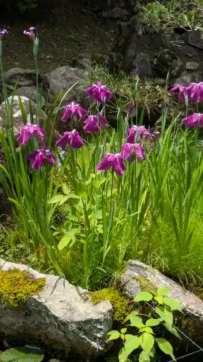 長谷寺(奈良県)