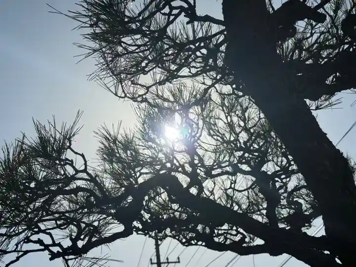 西方山極楽寺(岐阜県)