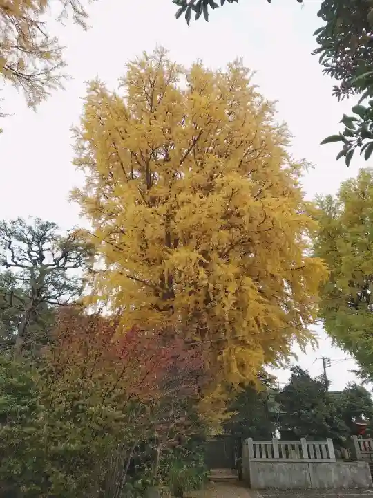 葛西神社の{uncategorized: "未分類", other: "その他", undefined: "問題あり", building: "その他建物", grave: "お墓", sacred_gate: "鳥居", guardian: "狛犬", statue: "像", buddha: "仏像", history: "歴史", nature: "自然", garden: "庭園", animal: "動物", pagoda: "塔", temizu: "手水舎", mountain_gate: "山門・神門", sanctuary: "本殿・本堂", subordinate: "末社・摂社", art: "芸術", scenery: "景色", jizo: "地蔵", ema: "絵馬", goshuin: "御朱印", omikuji: "おみくじ", items: "授与品その他", amulet: "お守り", goshuincho: "御朱印帳", eats: "食事", festival: "お祭り", votive_dance: "神楽", shichigosan: "七五三参", wedding: "結婚式", experience: "体験その他", initially: "初詣", around: "周辺", anti_infection: "感染症対策"}