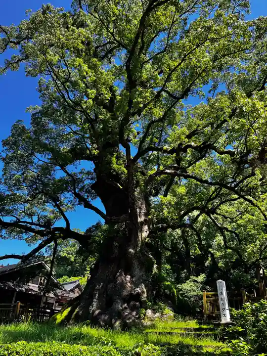 蒲生八幡神社(鹿児島県)