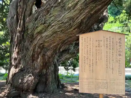 建長寺(神奈川県)