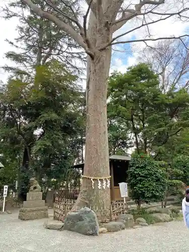 前鳥神社のその他建物