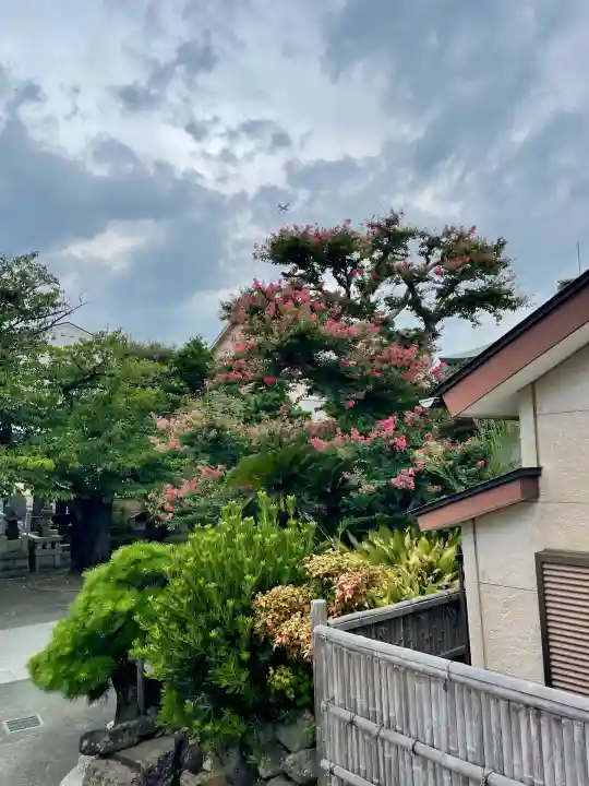 延台寺(神奈川県)