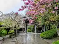 宝珠山 立石寺(山形県)