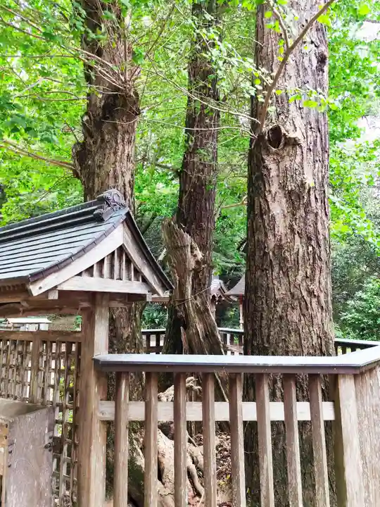 切幡寺(徳島県)
