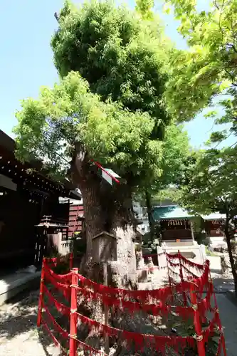 三輪神社(愛知県)