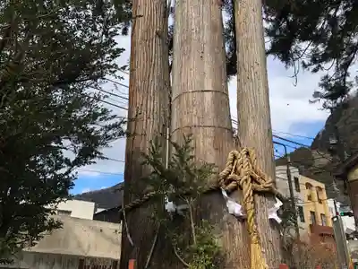 奥氷川神社のその他建物