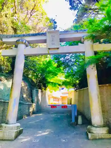 猿田神社の鳥居