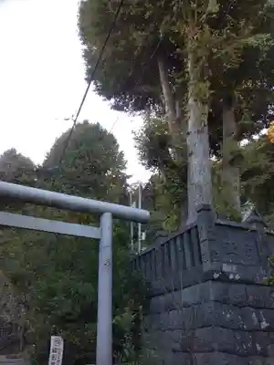 御霊神社(神奈川県)