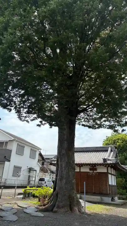 篠津神社(滋賀県)