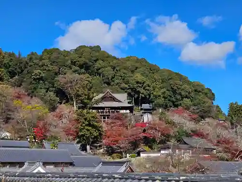 長谷寺(奈良県)