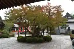 普賢院(和歌山県)