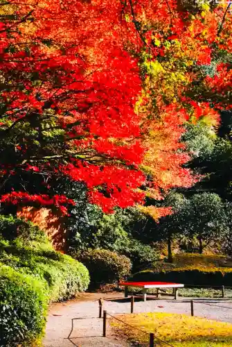 明月院(神奈川県)