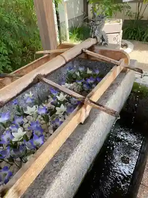 晴明神社の手水舎