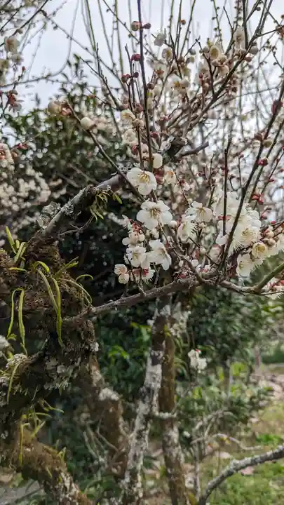惠心院(京都府)