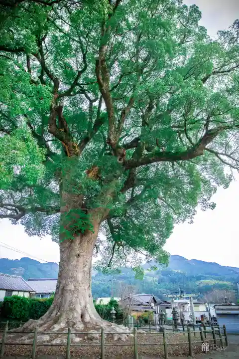 津江神社(福岡県)