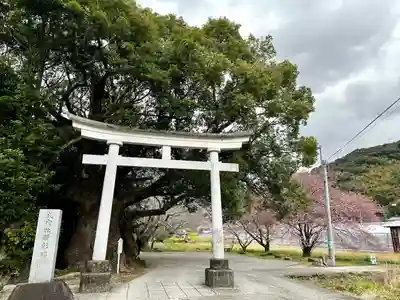 川津来宮神社(静岡県)