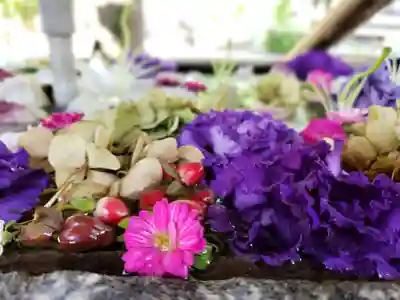 鳩森八幡神社の手水舎