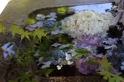 神炊館神社 ⁂奥州須賀川総鎮守⁂の手水舎